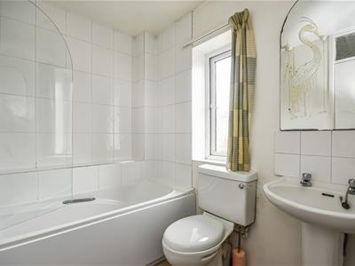 Picture 7
